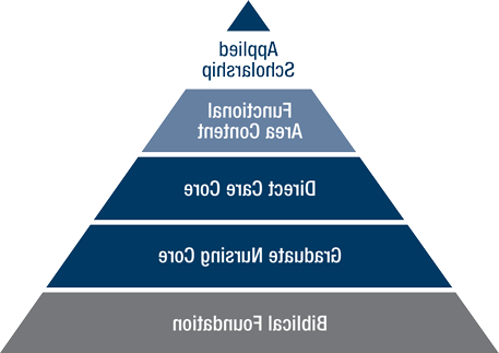 用金字塔表示MSN课程研究的进展和日益增加的特殊性.