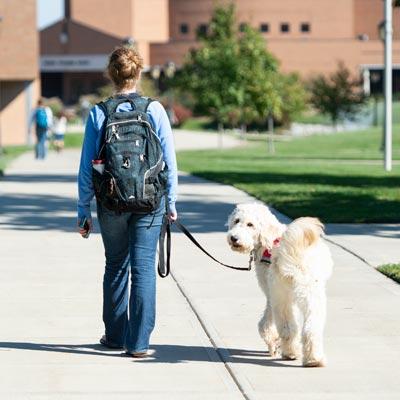 picture of female student walking with service dog while dog looks at the camera