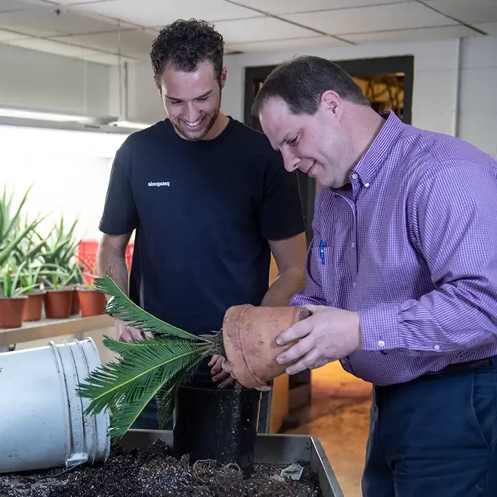 Two men transplanting a potted plant to another pot.